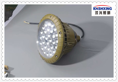 防爆燈具60W防爆燈LED防爆燈型號(hào)_中國智能制造網(wǎng)